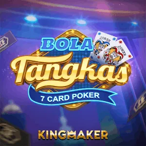 Casino Game Provider 7