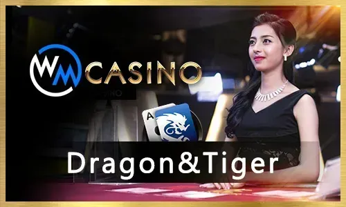 Maximize Your Winnings on ph19 Slots