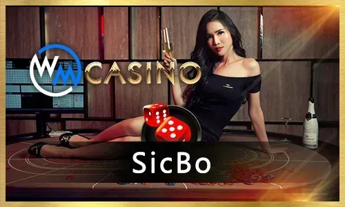 PHTAYA Live Dealer Games